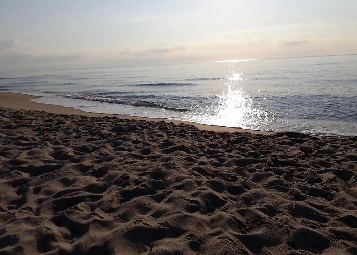 F3 Vue Et Montagne * Ventiseri