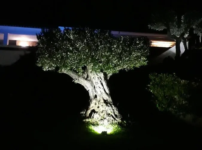 F3 Vue Et Montagne Appartement *