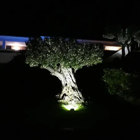 F3 Vue Et Montagne Lägenhet *